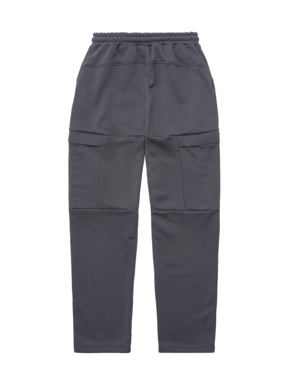 Штани CARGO STONE ZIPPER I темно-сірий 1/26