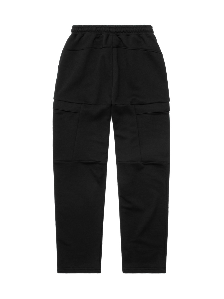 Штани CARGO STONE ZIPPER I чорний 1/26