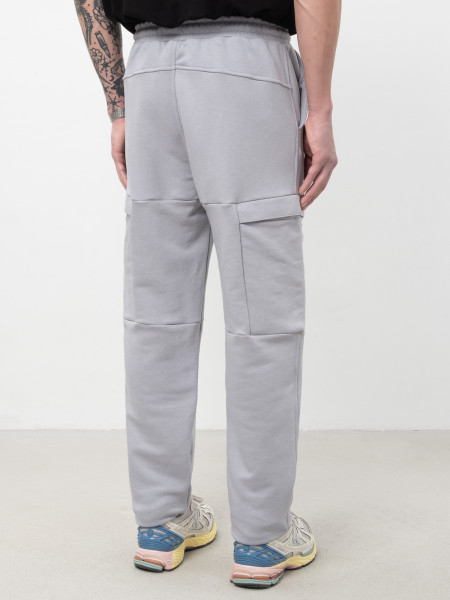 Штани CARGO STONE ZIPPER I світло-сірий 1/26 фото 5