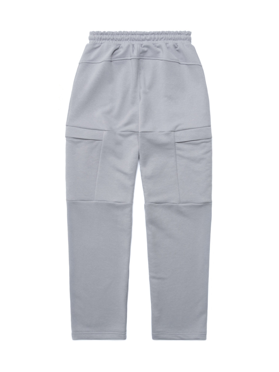 Штани CARGO STONE ZIPPER I світло-сірий 1/26
